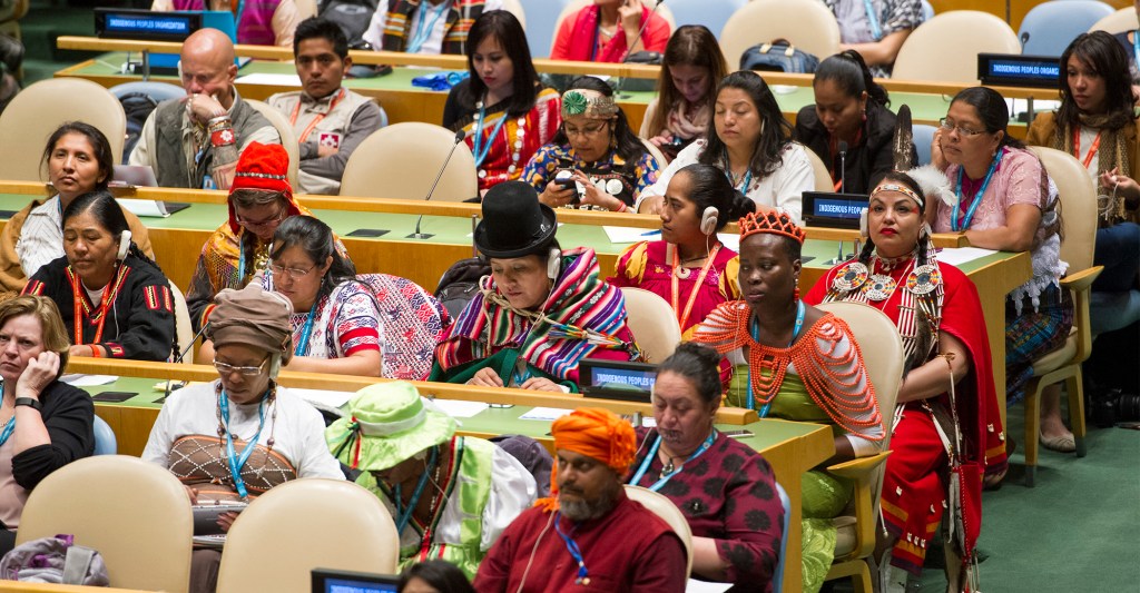 How do other countries include Indigenous&nbsp;people?